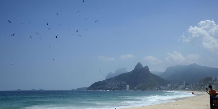 Banco de amostras de albatrozes e petréis tem expansão de 57,5%