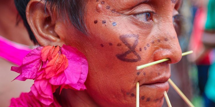 Ibama cria sala de combate ao garimpo ilegal em terra Yanomami