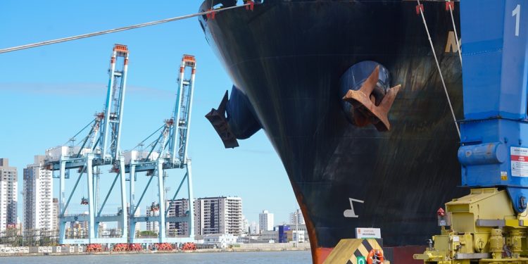 Exportações de Santa Catarina crescem 4,4% em 2025 e atingem maior valor da história